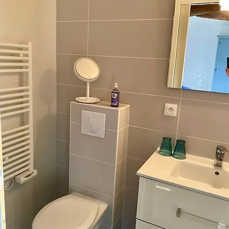 Aux Agapanthes, D'hotes Charentaises De Charme Avec Piscine 3* Aumagne