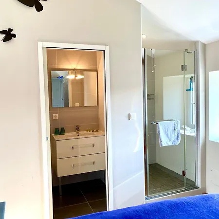 Aux Agapanthes, D'hotes Charentaises De Charme Avec Piscine 招待所 3*