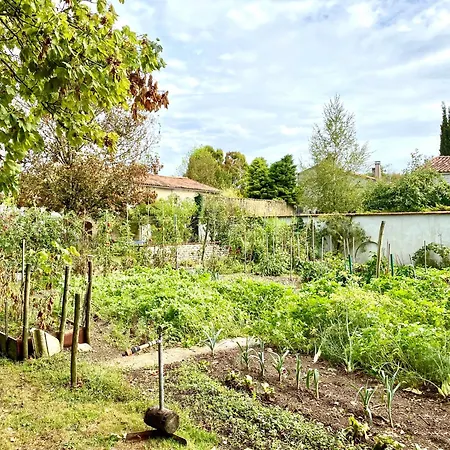 Aux Agapanthes, D'hotes Charentaises De Charme Avec Piscine 3* Aumagne