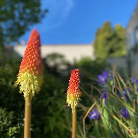 Aux Agapanthes, D'hotes Charentaises De Charme Avec Piscine Aumagne