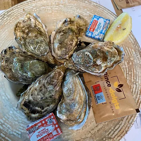 Aux Agapanthes, D'hotes Charentaises De Charme Avec Piscine 招待所