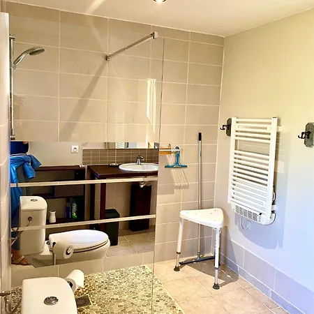 Aux Agapanthes, D'hotes Charentaises De Charme Avec Piscine 3*