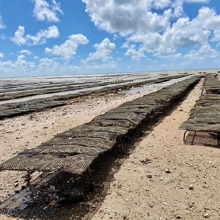 Aux Agapanthes, D'hotes Charentaises De Charme Avec Piscine 招待所 Aumagne