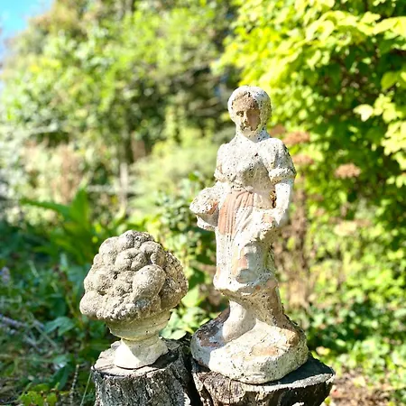 Aux Agapanthes, D'hotes Charentaises De Charme Avec Piscine 招待所